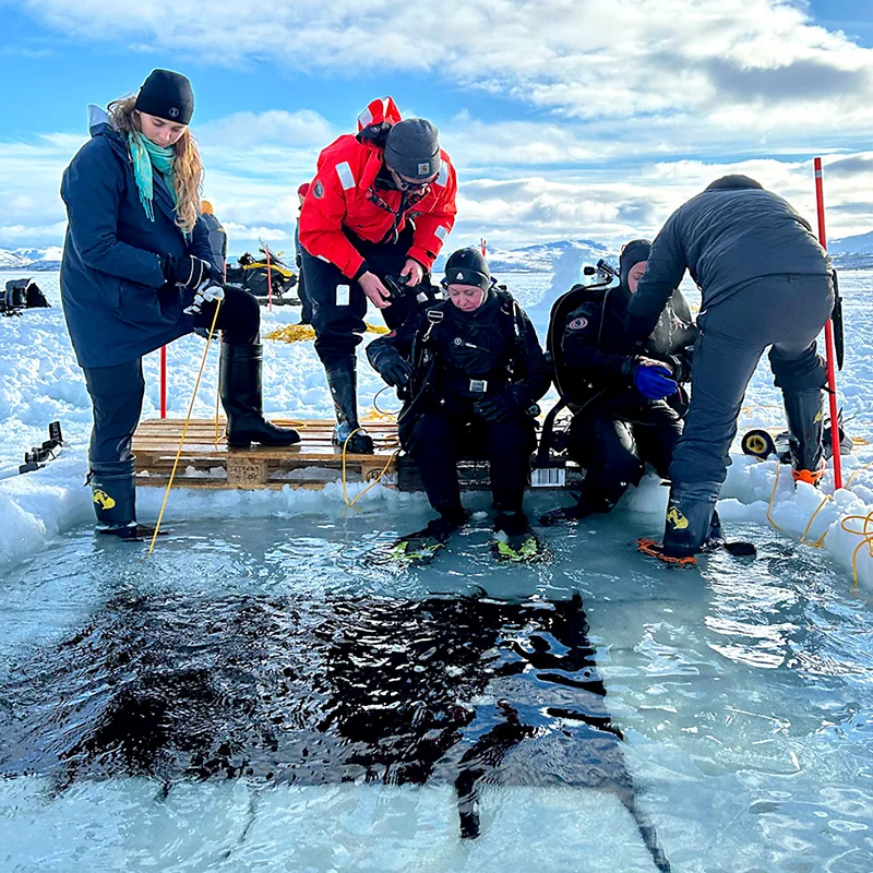 The Dangers of Arctic Ice Diving